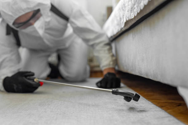 Professional Bed Bug Control technician working in Hiawatha, IA