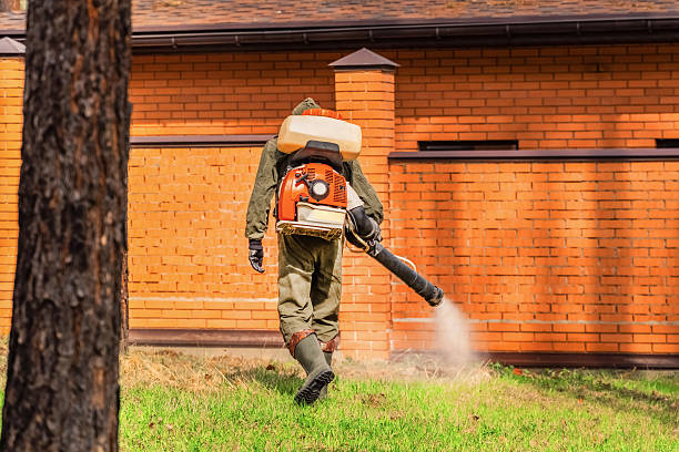 Trusted Bed Bug Control service in Hiawatha, IA - Nex Pest Control
